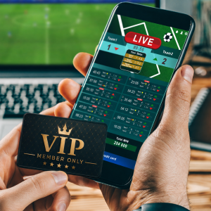 Vegas Hammer Elite Package VIP Member Only